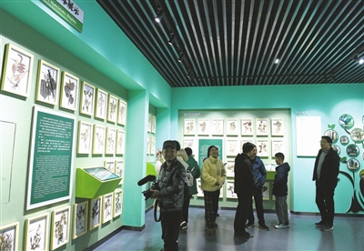 九宮山自然科普館 走進(jìn)綠色森林 探秘自然科學(xué)